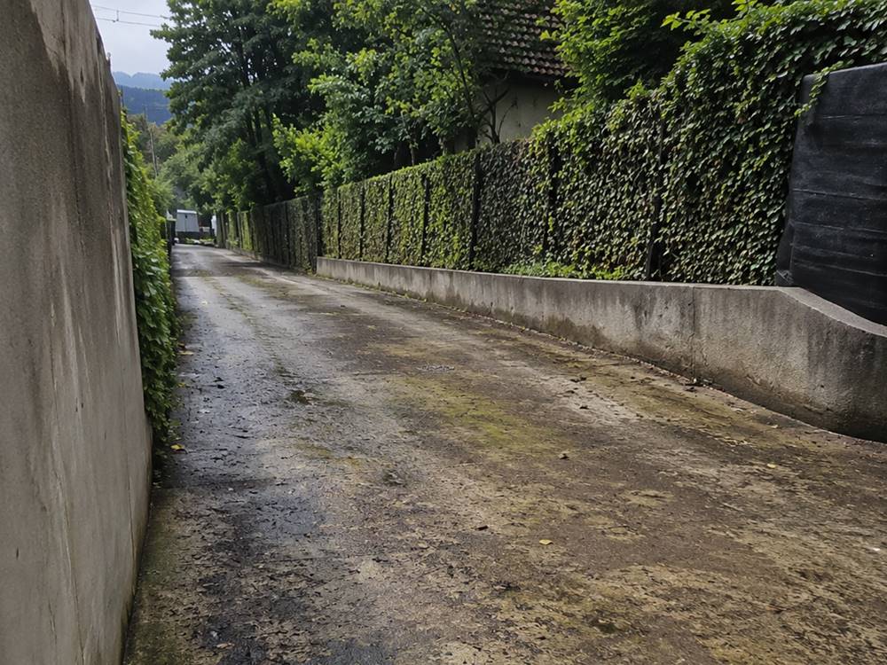 mohás térkő tisztítása előtte